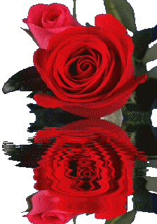 flawrs